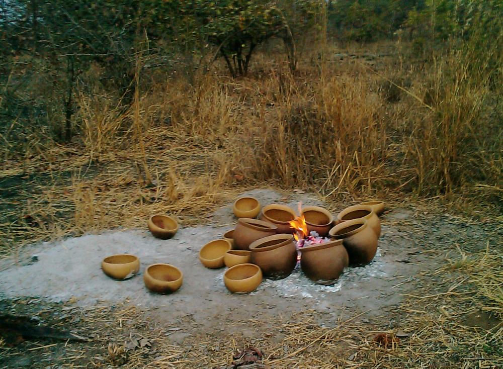 Cuisson canaris en 2012