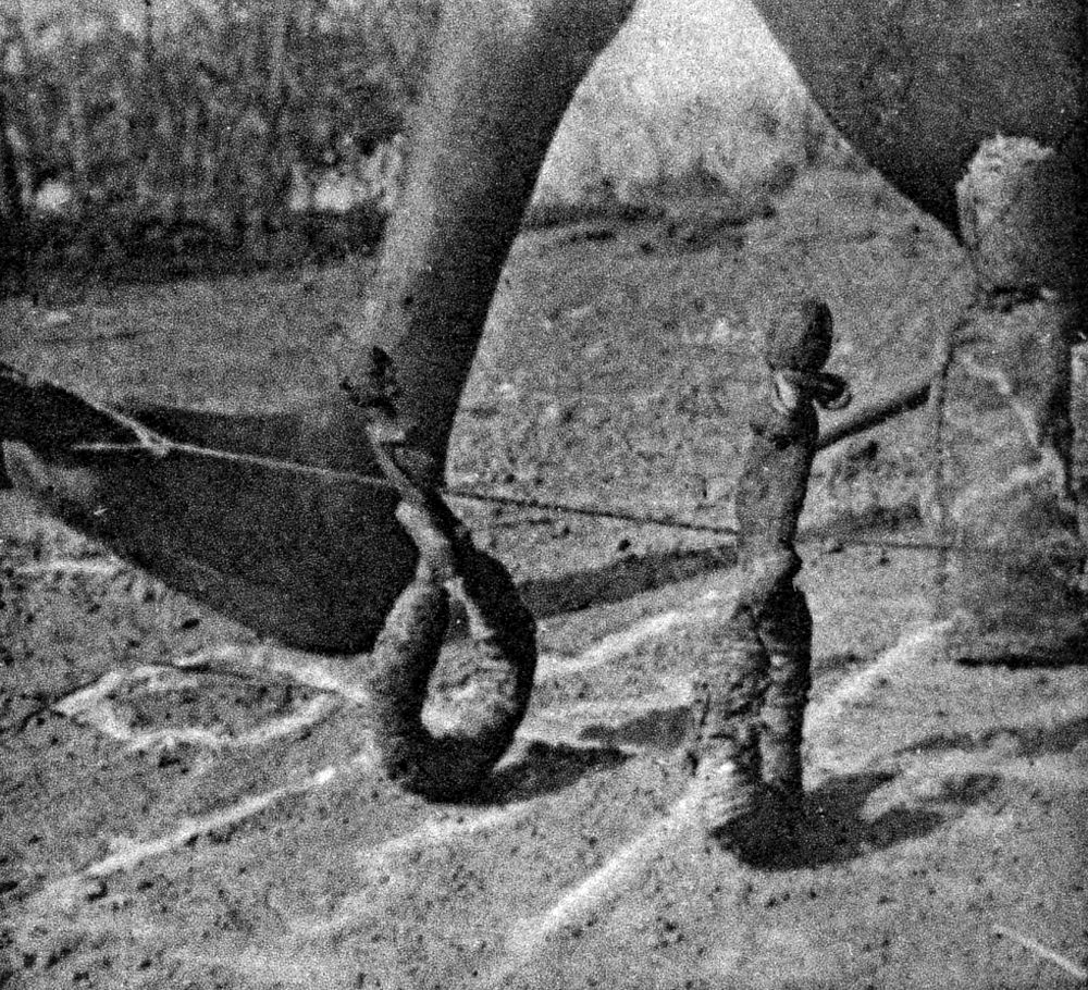 Devin Birifo 1931 Labouret